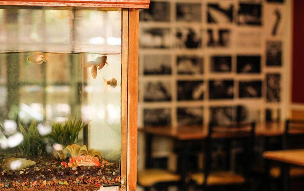 Hostel Parque Central Mendoza Kültér fotó